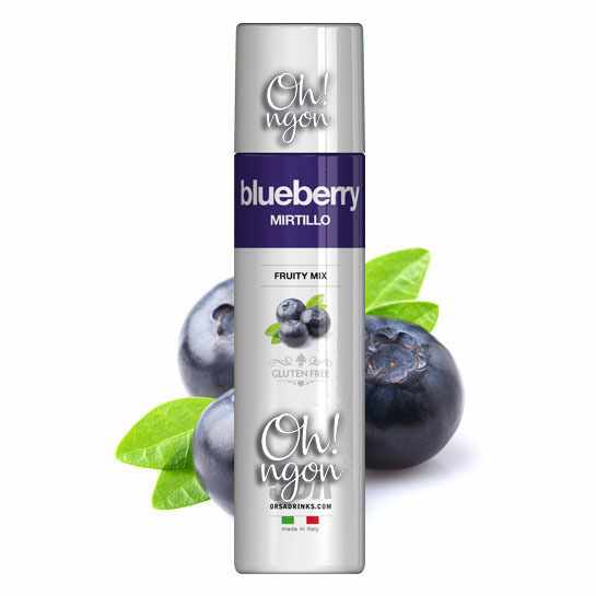 Sirup - sinh tố - Sauce trái cây BLUEBERRY - Bình 1Kg 