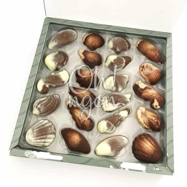 Chocolate - Cacao - CHOCOLATE GUYLIAN SEASHELLS - Hộp 250g