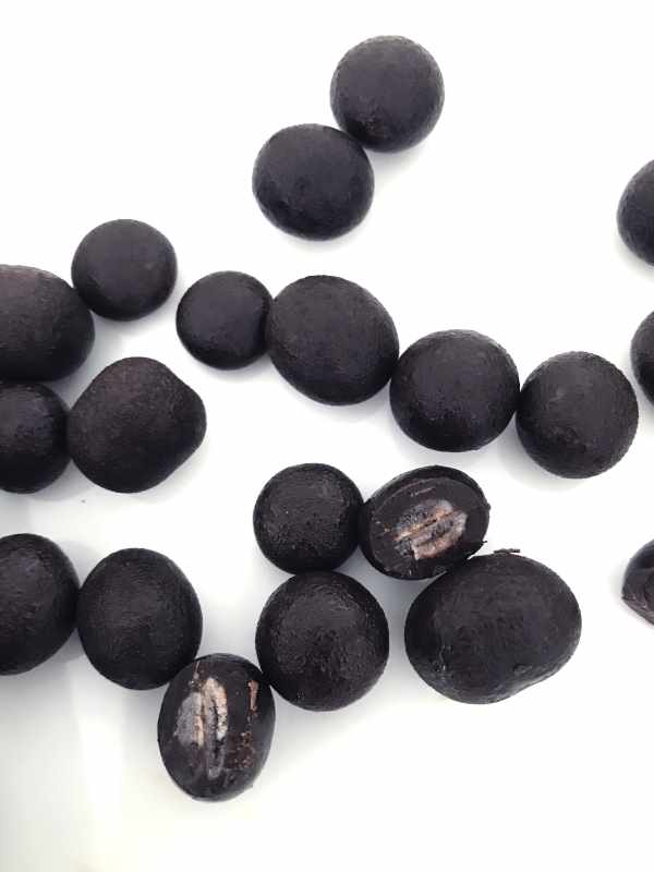 Chocolate - Cacao - Chocolat bọc Blueberies BROOKSIDE    Túi 907g