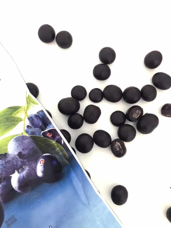 Chocolate - Cacao - Chocolat bọc Blueberies BROOKSIDE    Túi 907g